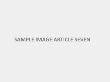 sample-image-article-seven