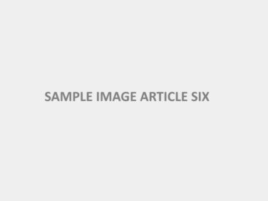 sample-image-article-six